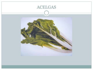 ACELGAS
 
