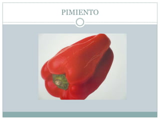 PIMIENTO
 