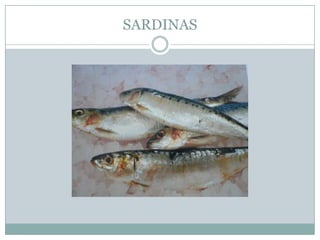 SARDINAS
 