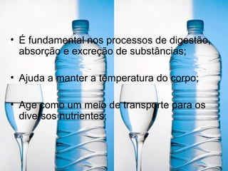• É fundamental nos processos de digestão,
absorção e excreção de substâncias;
• Ajuda a manter a temperatura do corpo;
• Age como um meio de transporte para os
diversos nutrientes;
 