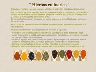 “ Hierbas culinarias ”
Cultivamos nuestras especias perennes y hierbas anuales con métodos agroecológicos.
Hay una distinción entre hierbas y especias: aunque ambas son condimentos para usar en la
cocina, las especias se derivan de raíces (gengibre, cúrcuma, etc); cortezas (canela); frutos
y semillas (pimienta gorda, cardamomo, chile).
En cambio las hierbas son plantas de las que se usan por lo general las hojas y que tienen
forma arbustiva.
En la cocina las hierbas son insustituibles no solamente hacen las comidas más ricas sino
más digeribles.
Al usar nuestras hierbas culinarias secas ten presente lo siguiente:
- Cuando en una receta te pidan la hierba fresca súplela por la mitad de la hierba seca.
- Antes de agregarla al platillo restriégala con los dedos ó muélela con un mortero o molinillo
de hierbas y úsalas inmediatamente.
- Si las vas agregar a un caldo ó cualquier guisado aguado déjalo que hierva unos minutos.
- Si las vas a utilizar en salsa o aderezo déjalas que se marinen por unos minutos.
- Siempre prueba tu platillo antes de servirlo e intensifica la sazón si es necesario.
- Conserva siempre tus frascos bien tapados y en un lugar fresco donde no les de el sol.

 