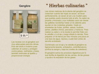 Gengibre

$ 55.00
Las recetas con el gengibre son
muy adecuadas para los climas
fríos del otoño e invierno pues
calientan el cuerpo y protegen
contra gripes, resfriados y toses,
también estimulan el apetito y
proporcionan energía.

“ Hierbas culinarias ”
Las raíces maduras de la planta del gengibre se
cosechan cuando las hojas se secan, se lavan
perfectamente, se secan al sol y se muelen para
que puedas usarlo durante todo el año. Su sabor es
picante y limonado y sus múltiples usos van desde
las galletas navideñas hasta un té caliente para
ayudar en las molestias gripales. Úsalo en
ensaladas de frutas, pickles, salsas, budines,
panes, platillos chinos, pescados y mariscos. Para
realzar su sabor y si la receta lo permite fríelo con
la cebolla y /o el ajo y luego añade lo demás. Para
preparar un té hierve por tres minutos una pizca en
una taza de agua, reposa y cuela bien antes de
servirlo endulzado.
Combinado con el ajo y la cebolla el gengibre es
ligeramente laxante, antiséptico, antiinflamatorio,
purifica la sangre y baja los niveles de colesterol.
El gengibre activa los procesos digestivos por lo
que facilita la digestión de las carnes, de las grasas
y ayuda a la expulsión de los gases.

 