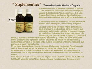 “ Suplementos ”

Tintura Madre de Albahaca Sagrada

El nombre común de la albahaca sagrada en la India es
TULSI, palabra que proviene del sánscrito y es la planta
sagrada dedicada al dios Visnú, preservador de la vida.
En Agua Escondida la sembramos durante el verano
disfrutando y compartiendo sus beneficios terapéuticos que

$ 95.00

la medicina ayurveda ha promovido y utilizado desde hace
miles de años: adaptógena, antioxidante y analgésica

Los usos curativos de sus hojas y flores son extensos,
desde promover la producción de leche en mujeres que
amamantan hasta ayudar a eliminar el veneno provocado
por mordeduras ó piquetes de animales ponzoñosos. Su
consumo regular ayuda a mejorar la digestión y controlar el
reflujo, a expulsar la mucosidad del aparato respiratorio y a reducir los malos efectos del
estrés y la depresión y a proteger del daño causado a las células por las radiaciones y
quimioterapia.Dentro de la medicina hindú, Tulsi es considerada una hierba “rasayana” que
promueve la salud y alarga la vida.
El uso diario de esta planta ayuda a mantener el balance de los chacras. Pero el uso más
original de esta medicina es que ayuda a reponerse después de fumar cannabis,
incrementando la circulación cerebral y la memoria y ayudando a limpiar los bronquios.
No emplees Tulsi ni ninguna otra hierba medicinal si estás embarazada sin consultar a tu
médico.
Para disfrutar de sus bondades consume 30 gotas de la TINTURA MADRE DE ALBAHACA
SAGRADA Manantial de las Flores después de cada comida durante 2 meses mínimo.

 