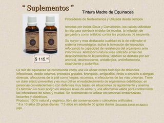 “ Suplementos ”

Tintura Madre de Equinacea

Procedente de Norteamérica y utilizada desde tiempos
remotos por indios Sioux y Comanches, los cuales utilizaban
la raíz para combatir el dolor de muelas, la irritación de
garganta y como antídoto contra las picaduras de serpiente.

$ 115.00

Su mayor y mas destacada cualidad es la de estimular el
sistema inmunológico, activa la formación de leucocitos
reforzando la capacidad de resistencia del organismo ante
infecciones. Antibiótico natural más utilizado antes del
descubrimiento de la penicilina, tambien se destaca por ser
antiviral, desintoxicante, antialérgica, antiinflamatoria,
cicatrizante y sudorífica.

La raíz de equinacea se recomienda como una vía eficaz contra todo tipo de dolencias
infecciosas, desde catarros, procesos gripales, bronquitis, amigdalitis, rinitis o sinusitis a alergias
diversas, afecciones de la piel como herpes, eccemas, e infecciones de las vías urinarias. Tiene
un claro efecto preventivo y es muy útil en el restablecimiento de organismos debilitados, en
personas convalecientes o con defensas muy bajas, en situaciones de agotamiento y anemia.
Es también un buen apoyo en ataques leves de asma, y una alternativa válida para contrarrestar
las infecciones de oídos y muelas. Se recomienda no utilizar en personas embarazadas,
lactantes y diabéticos.
Producto 100% natural y orgánico, libre de conservadores o colorantes artificiales.
* 6 a 13 años 20 gotas diarias *13 años en adelante 30 gotas diarias Se puede tomar en agua o
jugo.

 