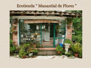 Ecotienda “ Manantial de Flores ”

 