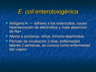 E. coliE. coli enterotoxigénicaenterotoxigénica
 Antígeno K adhiere a los enterocitos, causaAntígeno K adhiere a los enterocitos, causa
hipersecreción de electrolitos y mala absorciónhipersecreción de electrolitos y mala absorción
de Na+de Na+
 Afecta a ancianos, niños, inmuno-deprimidos.Afecta a ancianos, niños, inmuno-deprimidos.
 Período de incubación 2 días; enfermedadPeríodo de incubación 2 días; enfermedad
latente 2 semanas, se conoce como enfermedadlatente 2 semanas, se conoce como enfermedad
del viajero.del viajero.
 