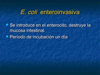 E. coliE. coli enteroinvasivaenteroinvasiva
 Se introduce en el enterocito, destruye laSe introduce en el enterocito, destruye la
mucosa intestinal.mucosa intestinal.
 Período de incubación un díaPeríodo de incubación un día
 