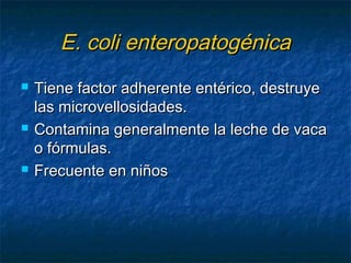 E. coli enteropatogénicaE. coli enteropatogénica
 Tiene factor adherente entérico, destruyeTiene factor adherente entérico, destruye
las microvellosidades.las microvellosidades.
 Contamina generalmente la leche de vacaContamina generalmente la leche de vaca
o fórmulas.o fórmulas.
 Frecuente en niñosFrecuente en niños
 