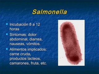 SalmonellaSalmonella
 Incubación 8 a 12Incubación 8 a 12
horashoras
 Síntomas: dolorSíntomas: dolor
abdominal, diarrea,abdominal, diarrea,
nauseas, vómitos.nauseas, vómitos.
 Alimentos implicados:Alimentos implicados:
carne cruda,carne cruda,
productos lacteos,productos lacteos,
camarones, fruta, etc.camarones, fruta, etc.
 