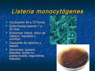 Listeria monocytógenesListeria monocytógenes
 Incubación 48 a 72 horas.Incubación 48 a 72 horas.
 Enfermedad latente 7 aEnfermedad latente 7 a
30 días30 días
 Síntomas: fiebre, dolor deSíntomas: fiebre, dolor de
cabeza, nauseas ycabeza, nauseas y
vómitosvómitos
 Causante de abortos yCausante de abortos y
sépsissépsis
 Alimentos: quesosAlimentos: quesos
blandos, leche noblandos, leche no
pasteurizada, legumbres,pasteurizada, legumbres,
heladoshelados
 