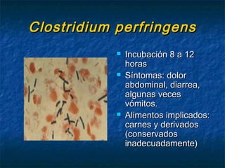 Clostridium perfringensClostridium perfringens
 Incubación 8 a 12Incubación 8 a 12
horashoras
 Síntomas: dolorSíntomas: dolor
abdominal, diarrea,abdominal, diarrea,
algunas vecesalgunas veces
vómitos.vómitos.
 Alimentos implicados:Alimentos implicados:
carnes y derivadoscarnes y derivados
(conservados(conservados
inadecuadamente)inadecuadamente)
 
