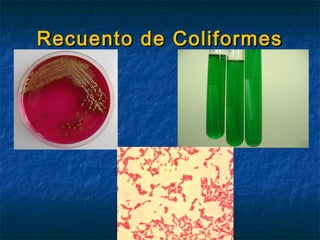Recuento de ColiformesRecuento de Coliformes
 