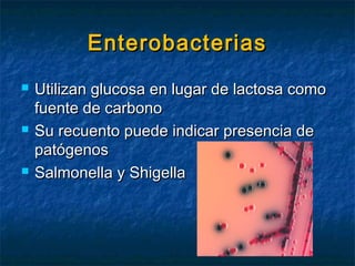 EnterobacteriasEnterobacterias
 Utilizan glucosa en lugar de lactosa comoUtilizan glucosa en lugar de lactosa como
fuente de carbonofuente de carbono
 Su recuento puede indicar presencia deSu recuento puede indicar presencia de
patógenospatógenos
 Salmonella y ShigellaSalmonella y Shigella
 
