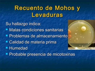 Recuento de Mohos yRecuento de Mohos y
LevadurasLevaduras
Su hallazgo indica:Su hallazgo indica:
 Malas condiciones sanitariasMalas condiciones sanitarias
 Problemas de almacenamientoProblemas de almacenamiento
 Calidad de materia primaCalidad de materia prima
 HumedadHumedad
 Probable presencia de micotoxinasProbable presencia de micotoxinas
 