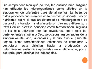 Utilidad de los microorganismos en la industria alimenticia | PPTX
