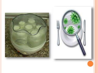 Utilidad de los microorganismos en la industria alimenticia | PPTX