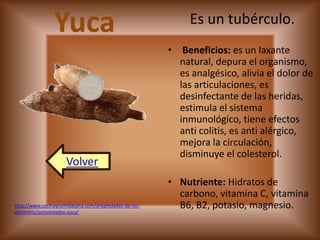 Yuca Es un tubérculo. 
• Beneficios: es un laxante 
natural, depura el organismo, 
es analgésico, alivia el dolor de 
las articulaciones, es 
desinfectante de las heridas, 
estimula el sistema 
inmunológico, tiene efectos 
anti colitis, es anti alérgico, 
mejora la circulación, 
disminuye el colesterol. 
• Nutriente: Hidratos de 
carbono, vitamina C, vitamina 
B6, B2, potasio, magnesio. 
Volver 
http://www.cocinaycomidasana.com/propiedades-de-los-alimentos/ 
porpiedades-yuca/ 
 