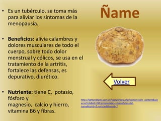 • Es un tubérculo. se toma más Ñame 
para aliviar los síntomas de la 
menopausia. 
• Beneficios: alivia calambres y 
dolores musculares de todo el 
cuerpo, sobre todo dolor 
menstrual y cólicos, se usa en el 
tratamiento de la artritis, 
fortalece las defensas, es 
depurativo, diurético. 
• Nutriente: tiene C, potasio, 
fósforo y 
magnesio, calcio y hierro, 
vitamina B6 y fibras. 
Volver 
http://lightandtasty.com.ve/tasty/index.php?option=com_content&vie 
w=article&id=260:propiedades-y-beneficios-del-name& 
catid=2:noticias&Itemid=7 
 