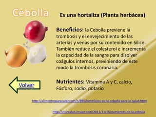 Volver 
Es una hortaliza (Planta herbácea) 
Beneficios: la Cebolla previene la 
trombosis y el envejecimiento de las 
arterias y venas por su contenido en Sílice. 
También reduce el colesterol e incrementa 
la capacidad de la sangre para disolver 
coágulos internos, previniendo de este 
modo la trombosis coronaria. 
Nutrientes: Vitamina A y C, calcio, 
Fósforo, sodio, potasio 
http://alimentosparacurar.com/n/895/beneficios-de-la-cebolla-para-la-salud.html 
http://vivirsalud.imujer.com/2011/11/16/nutrientes-de-la-cebolla 
 