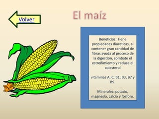 Volver 
Beneficios: Tiene 
propiedades diureticas, al 
contener gran cantidad de 
fibras ayuda al proceso de 
la digestión, combate el 
estreñimiento y reduce el 
colesterol 
vitaminas A, C, B1, B3, B7 y 
B9. 
Minerales: potasio, 
magnesio, calcio y fósforo. 
