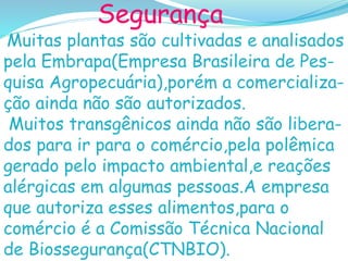 Segurança
Muitas plantas são cultivadas e analisados
pela Embrapa(Empresa Brasileira de Pes-
quisa Agropecuária),porém a comercializa-
ção ainda não são autorizados.
Muitos transgênicos ainda não são libera-
dos para ir para o comércio,pela polêmica
gerado pelo impacto ambiental,e reações
alérgicas em algumas pessoas.A empresa
que autoriza esses alimentos,para o
comércio é a Comissão Técnica Nacional
de Biossegurança(CTNBIO).
 