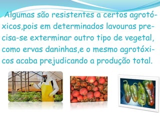 Algumas são resistentes a certos agrotó-
xicos,pois em determinados lavouras pre-
cisa-se exterminar outro tipo de vegetal,
como ervas daninhas,e o mesmo agrotóxi-
cos acaba prejudicando a produção total.
 