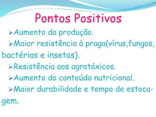 Pontos Positivos
Aumento da produção.
Maior resistência à praga(vírus,fungos,
bactérias e insetos).
Resistência aos agrotóxicos.
Aumento do conteúdo nutricional.
Maior durabilidade e tempo de estoca-
gem.
 