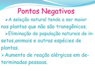 Pontos Negativos
A seleção natural tende a ser maior
nas plantas que não são transgênicos.
Eliminação de população naturais de in-
setos,animais e outras espécies de
plantas.
Aumento de reação alérgicas em de-
terminadas pessoas.
 