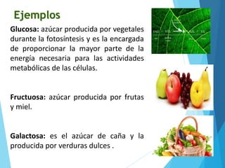 Glucosa: azúcar producida por vegetales
durante la fotosíntesis y es la encargada
de proporcionar la mayor parte de la
energía necesaria para las actividades
metabólicas de las células.
Fructuosa: azúcar producida por frutas
y miel.
Galactosa: es el azúcar de caña y la
producida por verduras dulces .
Ejemplos
 