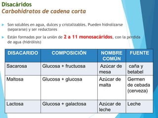 Disacáridos
Carbohidratos de cadena corta
 Son solubles en agua, dulces y cristalizables. Pueden hidrolizarse
(separarse) y ser reductores
 Están formados por la unión de 2 a 11 monosacáridos, con la pérdida
de agua (hidrólisis)
DISACARIDO COMPOSICIÓN NOMBRE
COMÚN
FUENTE
Sacarosa Glucosa + fructuosa Azúcar de
mesa
caña y
betabel
Maltosa Glucosa + glucosa Azúcar de
malta
Germen
de cebada
(cerveza)
Lactosa Glucosa + galactosa Azúcar de
leche
Leche
 