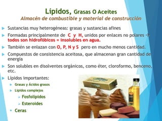 Lípidos, Grasas O Aceites
Almacén de combustible y material de construcción
 Sustancias muy heterogéneas: grasas y sustancias afines
 Formadas principalmente de C y H, unidos por enlaces no polares 
todos son hidrofóbicos = insolubles en agua.
 También se enlazan con O, P, N y S pero en mucho menos cantidad.
 Compuestos de consistencia aceitosa, que almacenan gran cantidad de
energía
 Son solubles en disolventes orgánicos, como éter, cloroformo, benceno,
etc.
 Lípidos importantes:
 Grasas y Ácidos grasos
 Lípidos complejos
 Fosfolípidos
 Esteroides
 Ceras
 