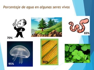 86%
83%
90%
95%
70%
47%
Porcentaje de agua en algunas seres vivos
 