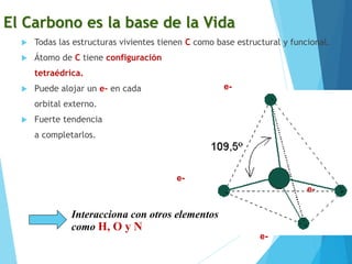 El Carbono es la base de la Vida
 Todas las estructuras vivientes tienen C como base estructural y funcional.
 Átomo de C tiene configuración
tetraédrica.
 Puede alojar un e- en cada
orbital externo.
 Fuerte tendencia
a completarlos.
e-
e-
e-
e-
Interacciona con otros elementos
como H, O y N
 