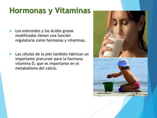 Hormonas y Vitaminas
 Los esteroides y los ácidos grasos
modificados tienen una función
regulatoria como hormonas y vitaminas.
 Las células de la piel también fabrican un
importante precursor para la hormona
vitamina D, que es importante en el
metabolismo del calcio.
 
