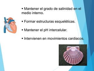  Mantener el grado de salinidad en el
medio interno.
 Formar estructuras esqueléticas.
 Mantener el pH intercelular.
 Intervienen en movimientos cardiacos.
 