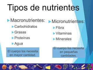 Tipos de nutrientes
El cuerpo los necesita
en mayor cantidad.
Macronutrientes:
Carbohidratos
Grasas
Proteínas
Agua
El cuerpo los necesita
en pequeñas
cantidades.
Micronutrientes:
Fibra
Vitaminas
Minerales
 