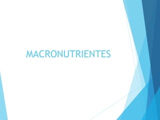 MACRONUTRIENTES
 