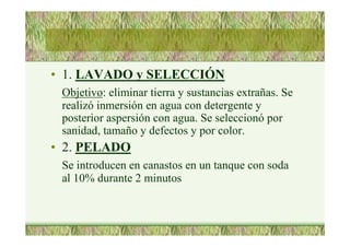 • 1. LAVADO y SELECCIÓN
Objetivo: eliminar tierra y sustancias extrañas. Se
realizó inmersión en agua con detergente y
posterior aspersión con agua. Se seleccionó por
sanidad, tamaño y defectos y por color.
• 2. PELADO
Se introducen en canastos en un tanque con soda
al 10% durante 2 minutos
 