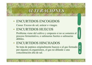 ALTERACIONESALTERACIONES
• ENCURTIDOS ENCOGIDOS
Causa: Exceso de sal, azúcar o vinagre.
• ENCURTIDOS HUECOS
Problema viene del cultivo y empeora si no se someten al
proceso fermentativo, o salmueras fuertes o salmueras
débiles.
• ENCURTIDOS HINCHADOS
Se trata de pepinos originalmente huecos o al gas formado
por algunos m.organismos, el gas no difunde o una
concentración alta de sal.
 