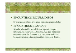 • ENCURTIDOS ESCURRIDIZOS
Si se exponen al aire creciendo bacterias encapsuladas.
• ENCURTIDOS BLANDOS
Se debe a la acción pectolítica de algunos hongos
(Penicillum, Fusarium, Alternaria,etc). Las flores son
contaminantes. Se favorece si el contenido salino es
bajo,temperatura alta,escasa acidez, presencia de aire.
 