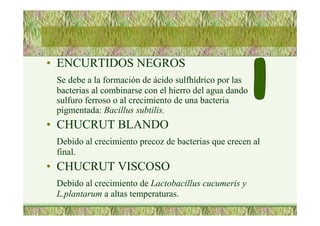 • ENCURTIDOS NEGROS
Se debe a la formación de ácido sulfhídrico por las
bacterias al combinarse con el hierro del agua dando
sulfuro ferroso o al crecimiento de una bacteria
pigmentada: Bacillus subtilis.
• CHUCRUT BLANDO
Debido al crecimiento precoz de bacterias que crecen al
final.
• CHUCRUT VISCOSO
Debido al crecimiento de Lactobacillus cucumeris y
L.plantarum a altas temperaturas.
 