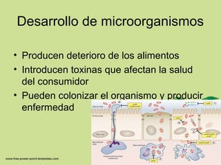 Desarrollo de microorganismos
• Producen deterioro de los alimentos
• Introducen toxinas que afectan la salud
del consumidor
• Pueden colonizar el organismo y producir
enfermedad
 