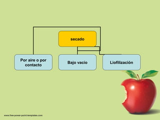 secado
Por aire o por
contacto
Bajo vacío Liofilización
 