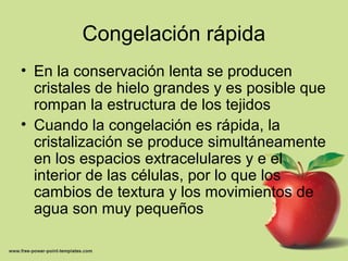 Congelación rápida
• En la conservación lenta se producen
cristales de hielo grandes y es posible que
rompan la estructura de los tejidos
• Cuando la congelación es rápida, la
cristalización se produce simultáneamente
en los espacios extracelulares y e el
interior de las células, por lo que los
cambios de textura y los movimientos de
agua son muy pequeños
 