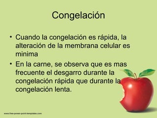 Congelación
• Cuando la congelación es rápida, la
alteración de la membrana celular es
minima
• En la carne, se observa que es mas
frecuente el desgarro durante la
congelación rápida que durante la
congelación lenta.
 