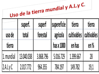 superf. superf        supereficie      tierra        tierra
   uso de total forestal            agricola    cultivables   cultivables
    tierra                         has x 1000     en has         en %
1. mundial 13.040.038 3.868.796    5.016.729     1.399.667         28
2.A.L y C 2.017.772 964.355         784.197       149.782         19,1
 