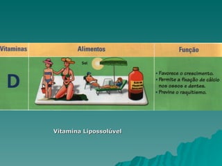 Vitamina Lipossolúvel 