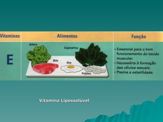 Vitamina Lipossolúvel 