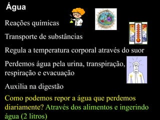 Reações químicas
Transporte de substâncias
Regula a temperatura corporal através do suor
Perdemos água pela urina, transpiração,
respiração e evacuação
Auxilia na digestão
Como podemos repor a água que perdemos
diariamente? Através dos alimentos e ingerindo
água (2 litros)
Água
 