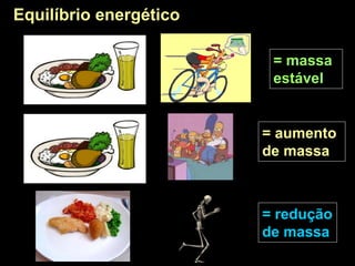 = massa
estável
= aumento
de massa
= redução
de massa
Equilíbrio energético
 